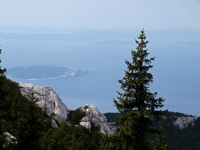 Nedjelja na Zavizanu