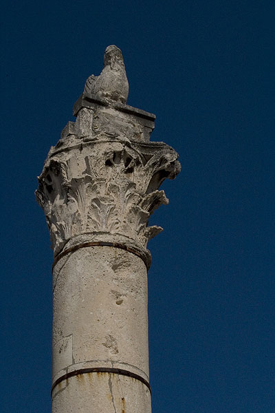 stup srama na forumu