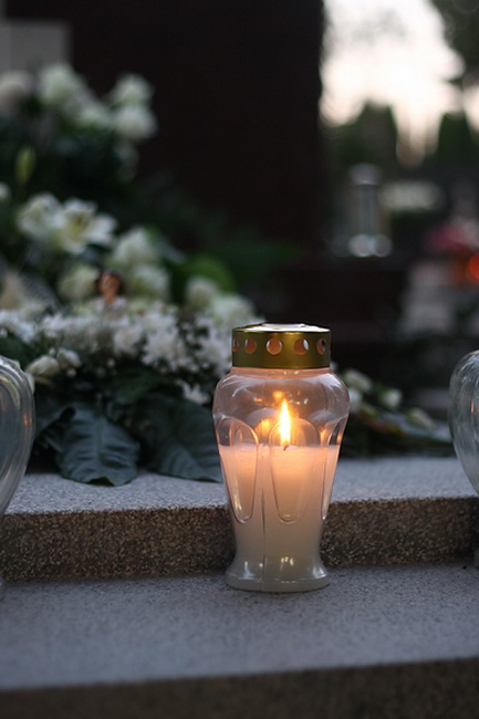 Gradsko groblje u Zadru u susret blagdanu Svih svetih