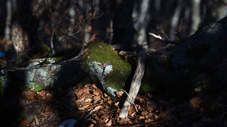 Od Velikog Rujna, preko Rujanske kose do Višerujna…