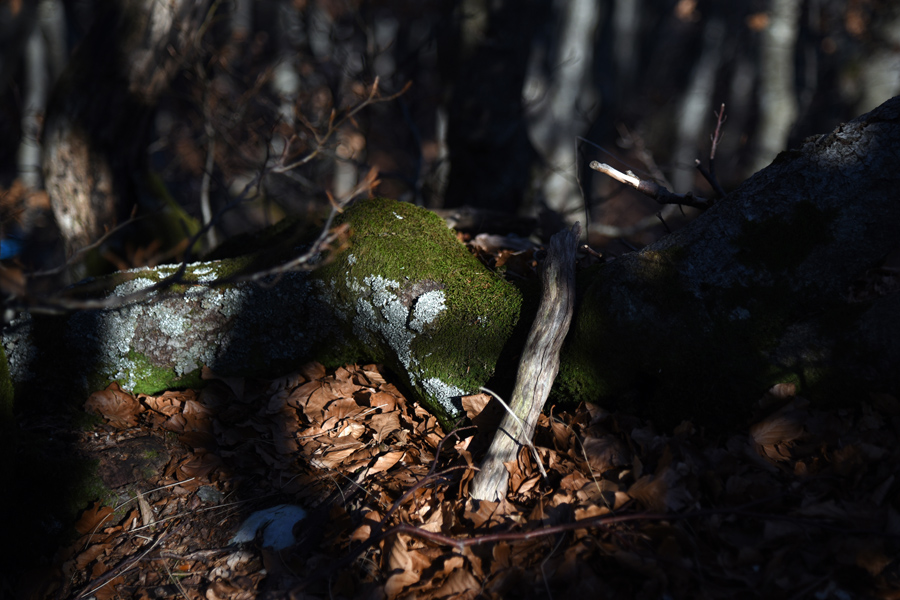 Od Velikog Rujna, preko Rujanske kose do Višerujna…