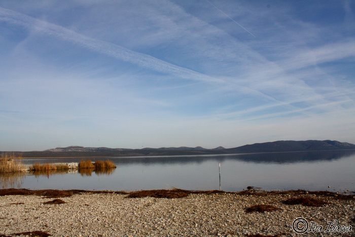 Đir uz Vransko jezero, Foto: Iva Perinić Đir uz Vransko jezero, Foto: Iva Perinić