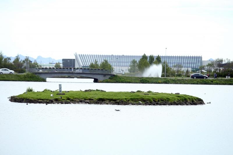 Đir po Reykjaviku, glavnom gradu Islanda