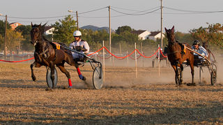 Polača: 14. Međunarodne konjičke utrke “Oluja 95”, Foto: Leo Banić Polača: 14. Međunarodne konjičke utrke “Oluja 95”, Foto: Leo Banić