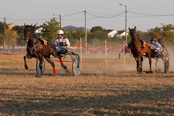 Polača: 14. Međunarodne konjičke utrke “Oluja 95”, Foto: Leo Banić Polača: 14. Međunarodne konjičke utrke “Oluja 95”, Foto: Leo Banić