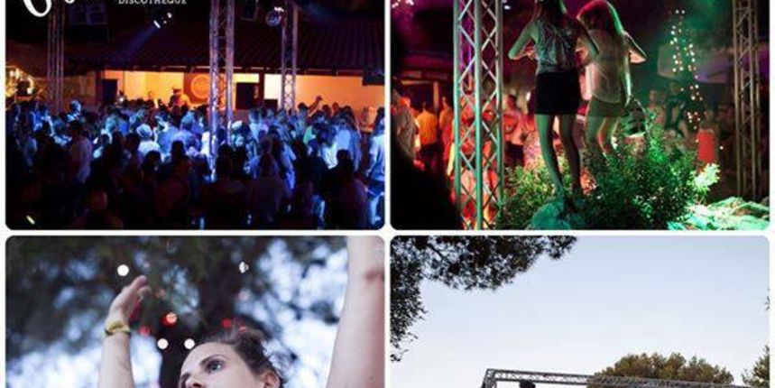 The garden fest The garden fest