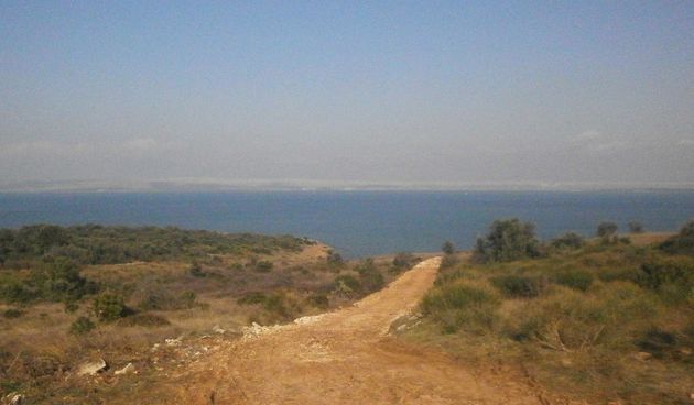 Revitalizacija ”Zapadnog polja” na Viru