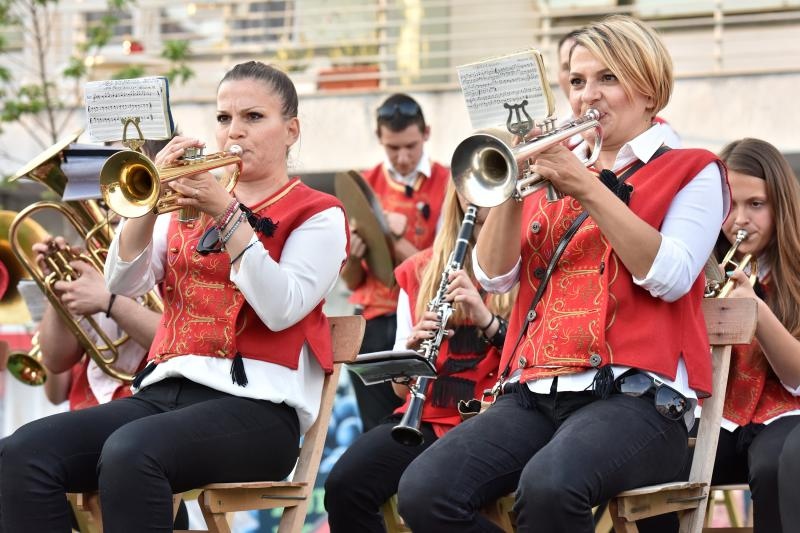U sklopu Benkovackog kulturnog ljeta Grad Benkovac i Turisticka zajednica Grada Benkovca vec cetvrtu godinu za redom organiziraju manifestaciju Puzevim korakom. Radi se o gastro manifestaciji pripreme i degustacije puzeva. Posjetitelji su imali prilike d U sklopu Benkovackog kulturnog ljeta Grad Benkovac i Turisticka zajednica Grada Benkovca vec cetvrtu godinu za redom organiziraju manifestaciju Puzevim korakom. Radi se o gastro manifestaciji pripreme i degustacije puzeva. Posjetitelji su imali prilike d