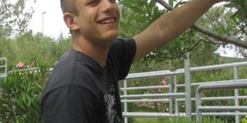 Image 379221 (auto) Image 379221 (auto)