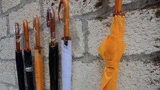 Đir po gradu 6. veljače 2014, Foto: Roberto Lerga