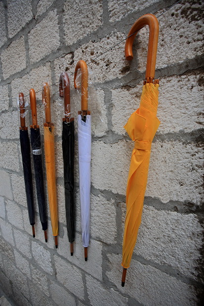 Đir po gradu 6. veljače 2014, Foto: Roberto Lerga