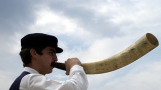 Eko dani 2009: Eko grafiti i Zagrlimo poluotok (Foto: Sasa Cuka)