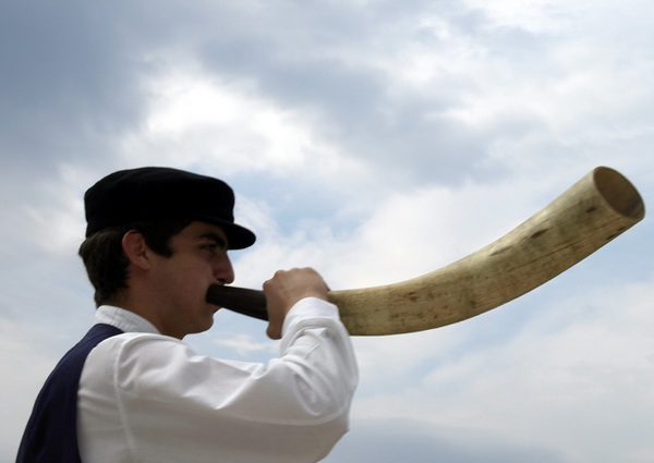 Eko dani 2009: Eko grafiti i Zagrlimo poluotok (Foto: Sasa Cuka)