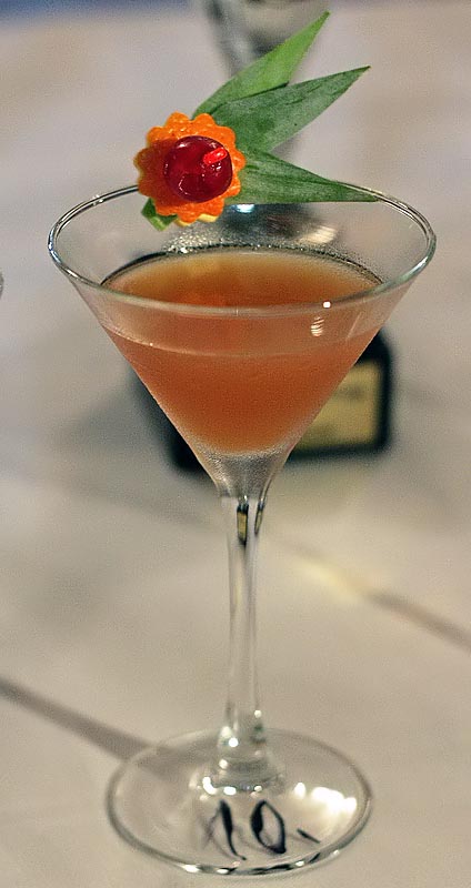 Havana Cup 2009. – 15. regionalno natjecanje barmena (foto: Marin Gospić)