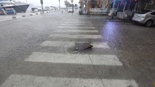 Kišna kataklizma u Zadru: poplavljen cijeli grad