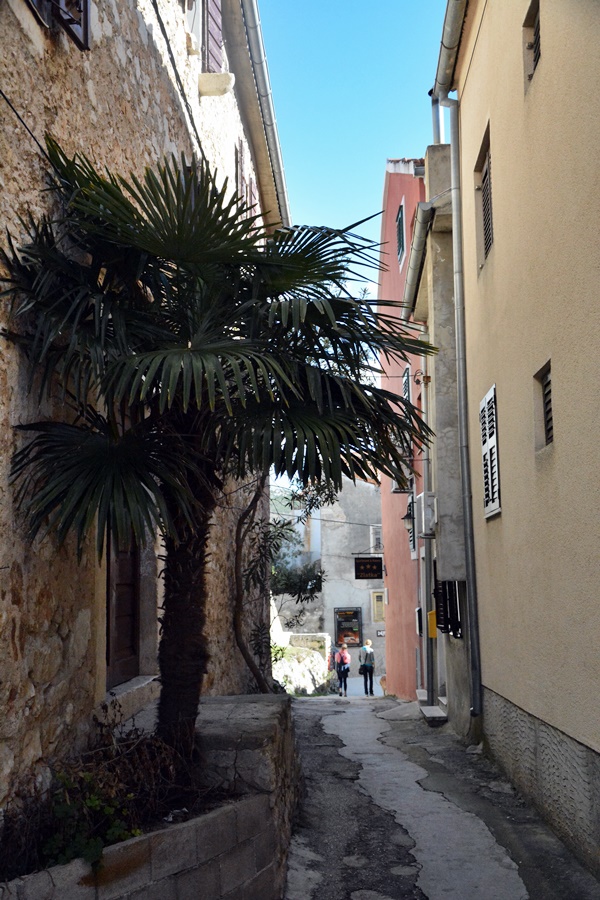 Đir po Skradinu, Foto Kristina Kajic