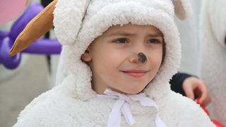 Virski Karnevalić 2017.