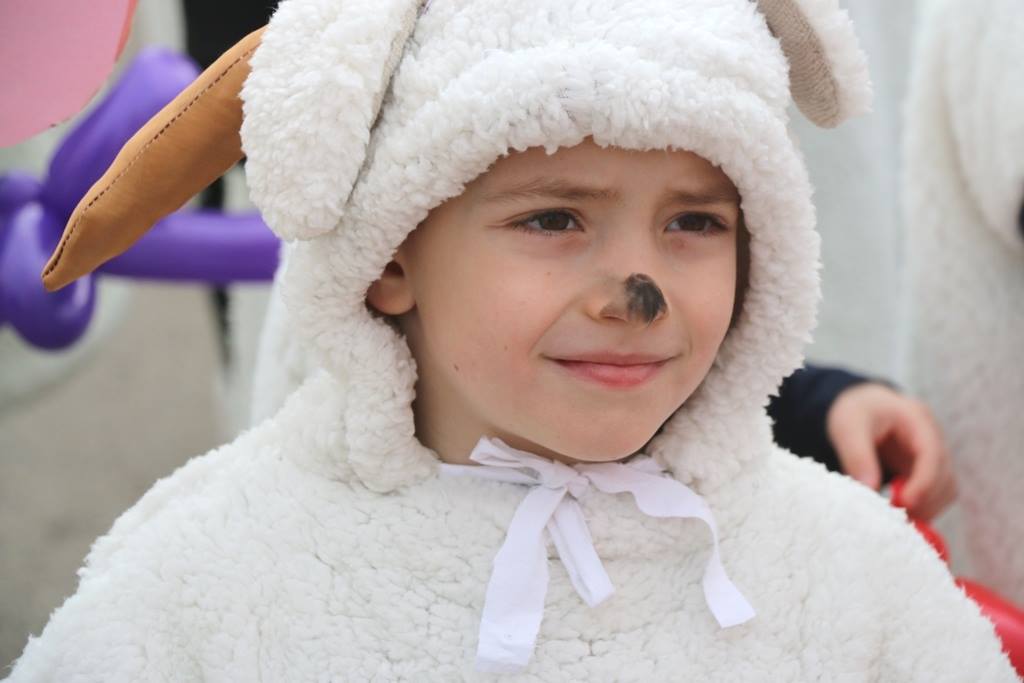 Virski Karnevalić 2017.