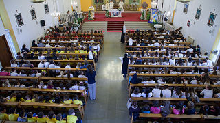 Zlatna harfa Zlatna harfa