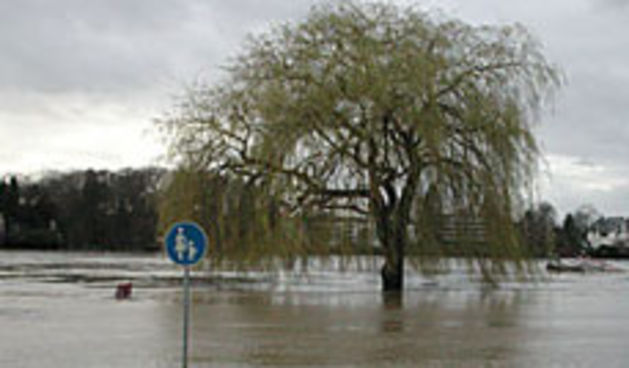 Poplava (Foto: Totalportal.hr)