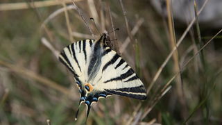 Drugi Planinarski pohod “Hajdemo do Vrane” 2. travnja 2016. Foto: Vinko Pešić