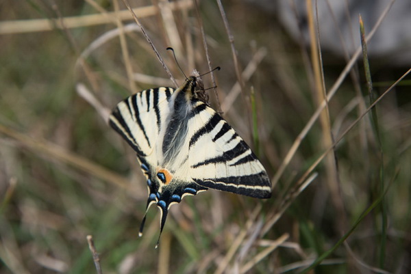 Drugi Planinarski pohod “Hajdemo do Vrane” 2. travnja 2016. Foto: Vinko Pešić