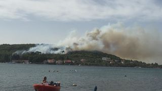 Šumski požar u Malom Lukoranu, Foto: Valentin Bakota Šumski požar u Malom Lukoranu, Foto: Valentin Bakota