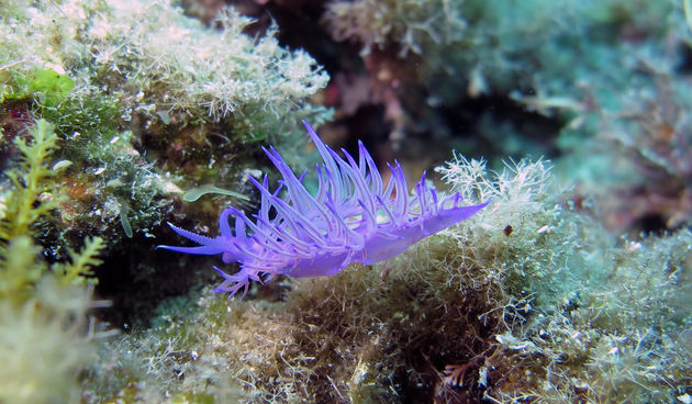 Eko-kamp Kornati 2024. na Instagramu