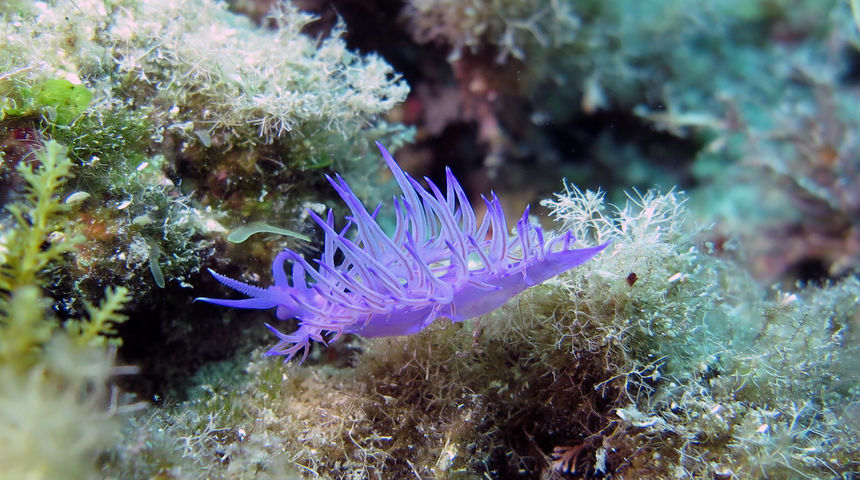 Eko-kamp Kornati 2024. na Instagramu Eko-kamp Kornati 2024. na Instagramu