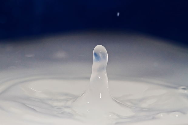 Čudesne kapi, foto: Leo Banić