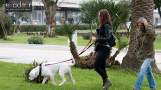 Đir po gradu, subotnja špica 31. ožujka 2018. Đir po gradu, subotnja špica 31. ožujka 2018.