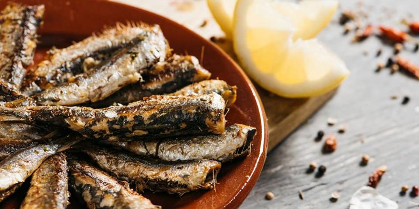 Proljeće na zadarskoj tržnici uz hranu, vino i glazbu! Proljeće na zadarskoj tržnici uz hranu, vino i glazbu!