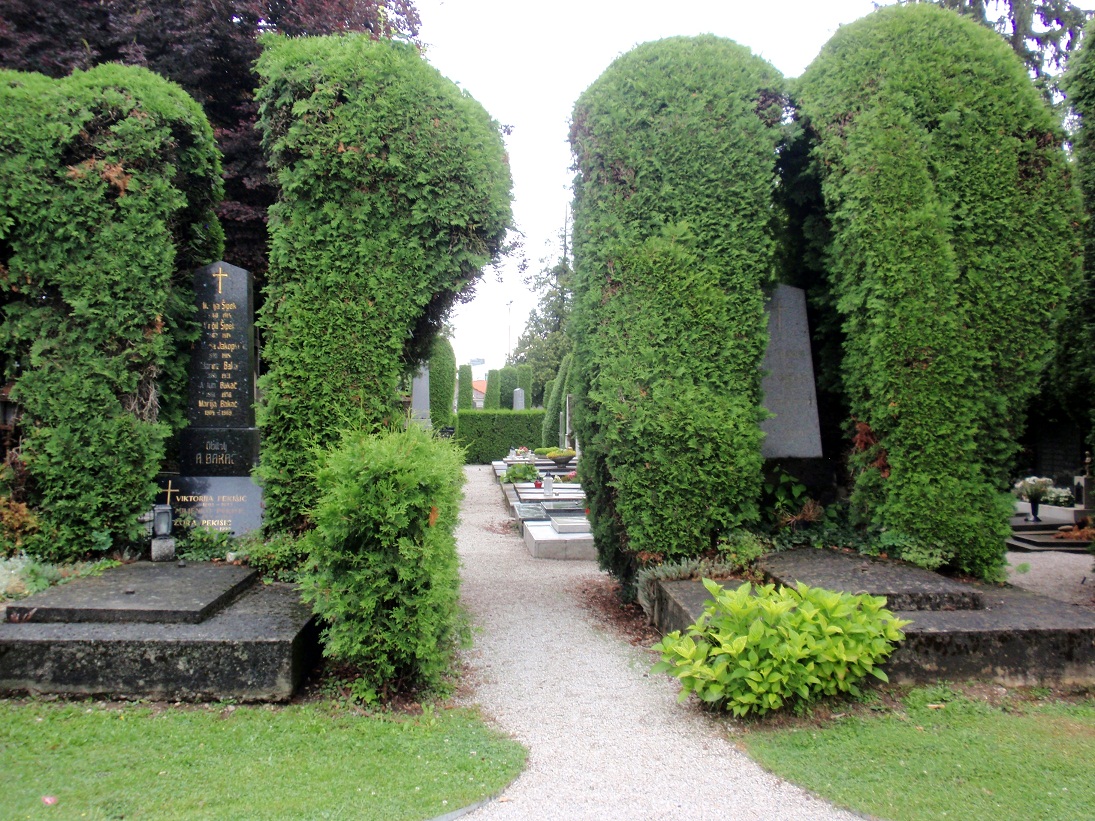 Razglednica iz Varaždina Razglednica iz Varaždina