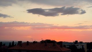 Image 1208607 (auto)