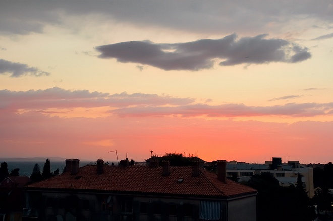 Image 1208607 (auto)