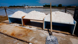 Solana Nin, berba soli, foto: Leo Banić