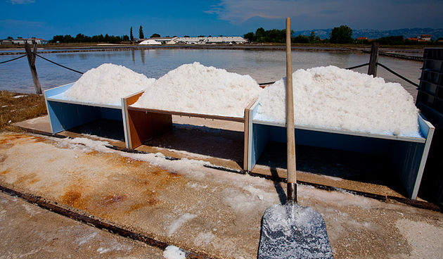Solana Nin, berba soli, foto: Leo Banić