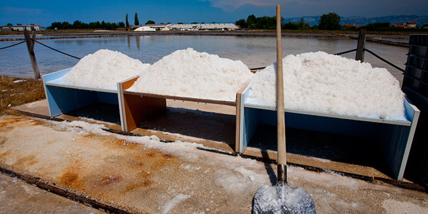 Solana Nin, berba soli, foto: Leo Banić