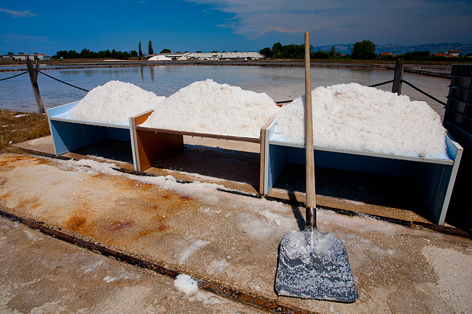 Solana Nin, berba soli, foto: Leo Banić