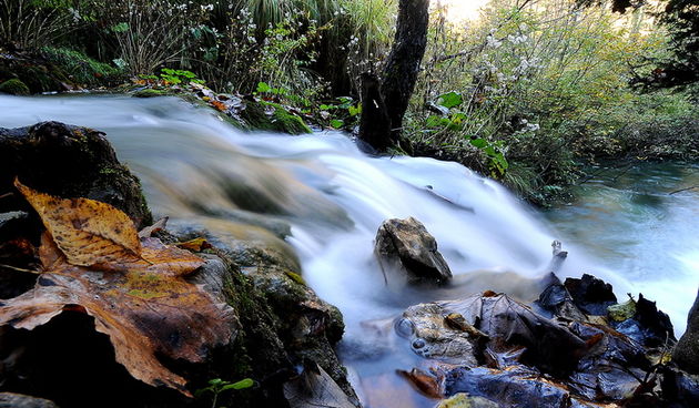 Plitvicka Jezera, 251012.
Fotogalerija jeseni na Plitvickim jezerima.
Na fotografiji: slap na Plitvickim jezerima.
Foto: Robert Fajt / CROPIX