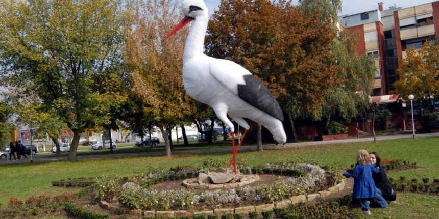 udruga roda udruga roda