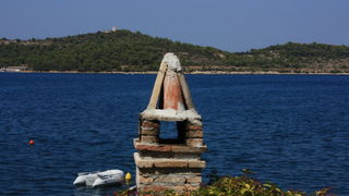 Image 1117695 (auto)