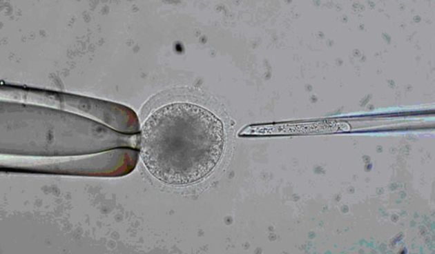 Britanija dozvoljava djecu s korekcijom DNK, foto: screenshot