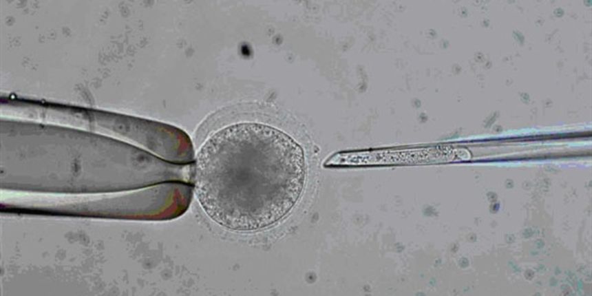 Britanija dozvoljava djecu s korekcijom DNK, foto: screenshot Britanija dozvoljava djecu s korekcijom DNK, foto: screenshot