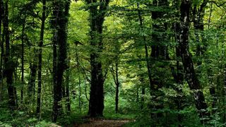 NP Plitvička jezera, listopad 2021.