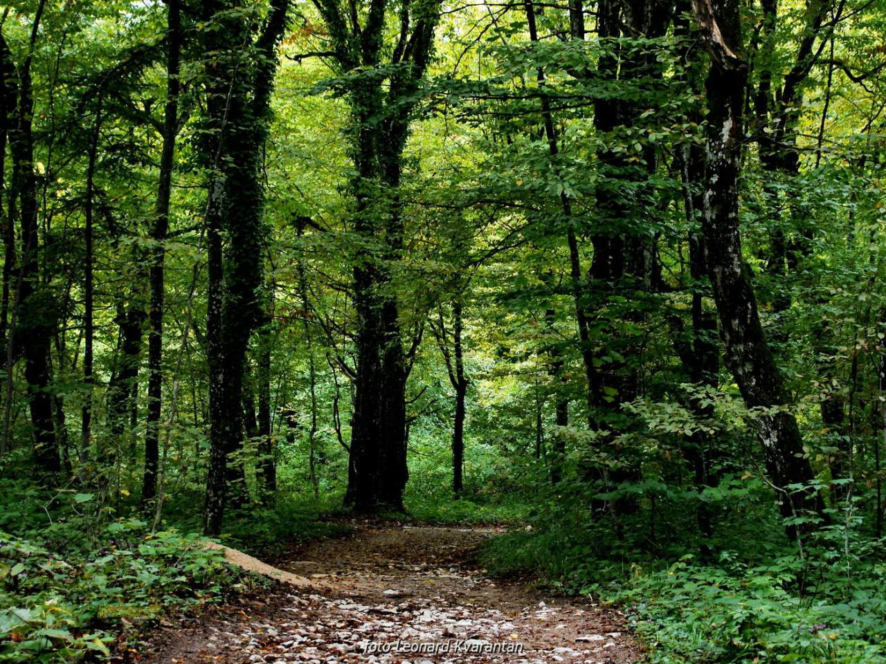 NP Plitvička jezera, listopad 2021.