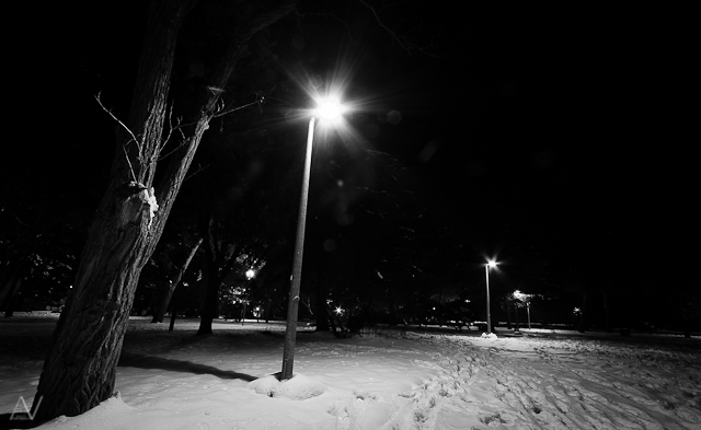 Noćni đir po Višnjiku, Foto: Anđelo Virag