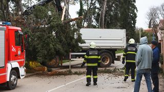Olujno jugo oborilo stablo i električni stup