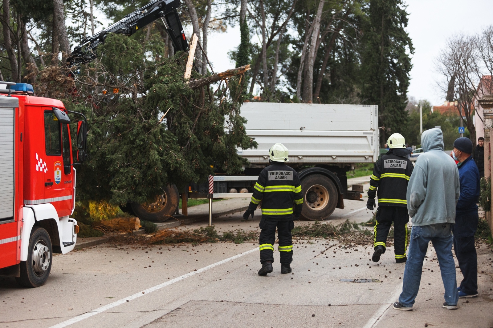 Olujno jugo oborilo stablo i električni stup