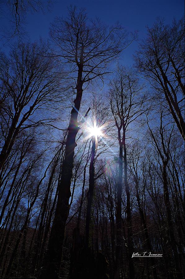 69. rođendan NP Plitvička Jezera 69. rođendan NP Plitvička Jezera